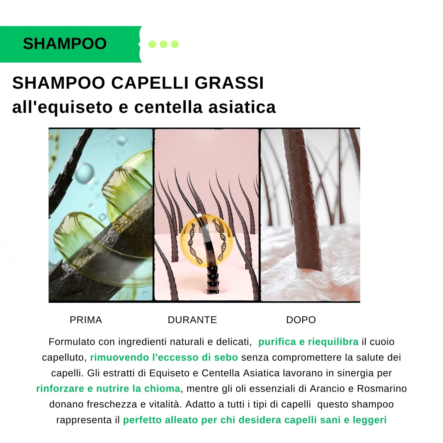 Shampoo Capelli Grassi Equiseto e Centella Asiatica - Formula Delicata 200ml