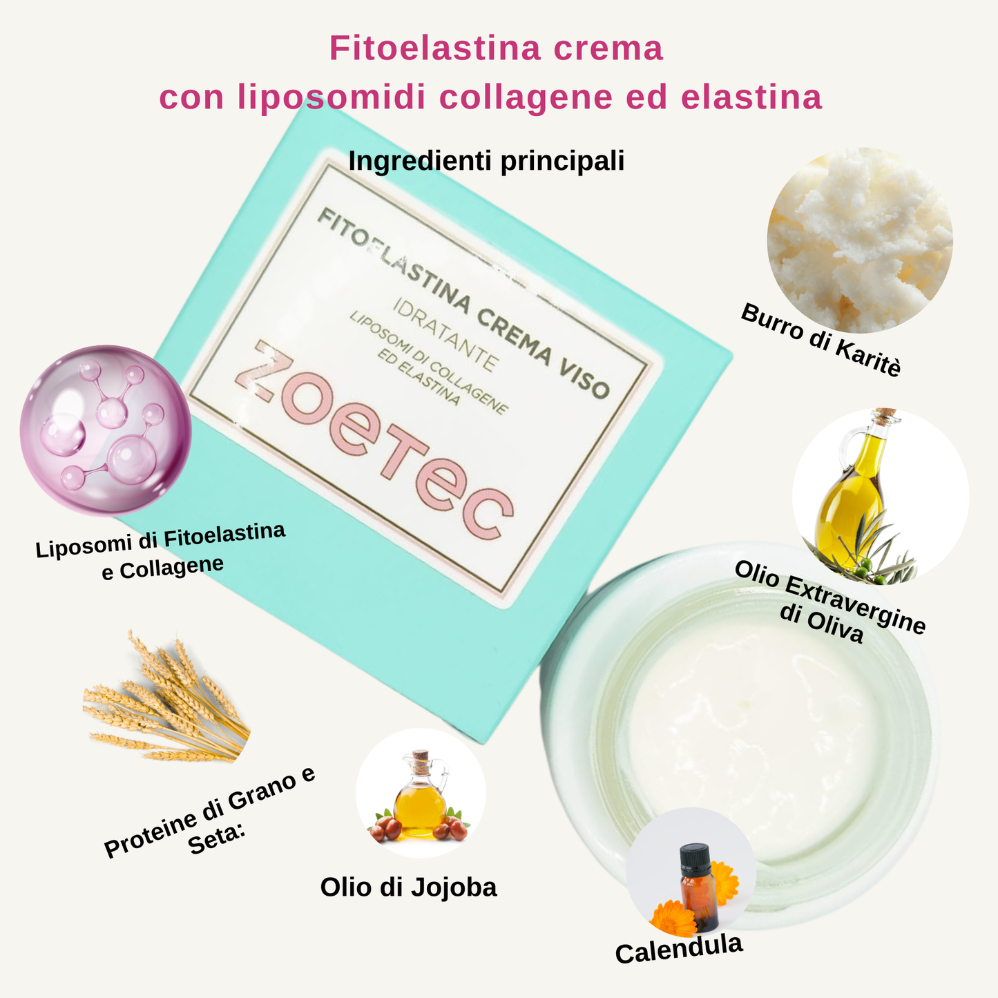 Crema Fitoelastina Idratazione Profonda – 50ml